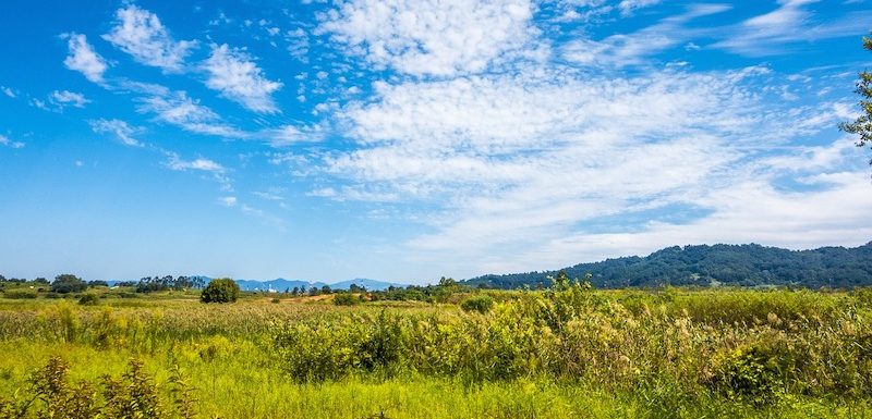 comprar terreno para construir casa en cantabria
